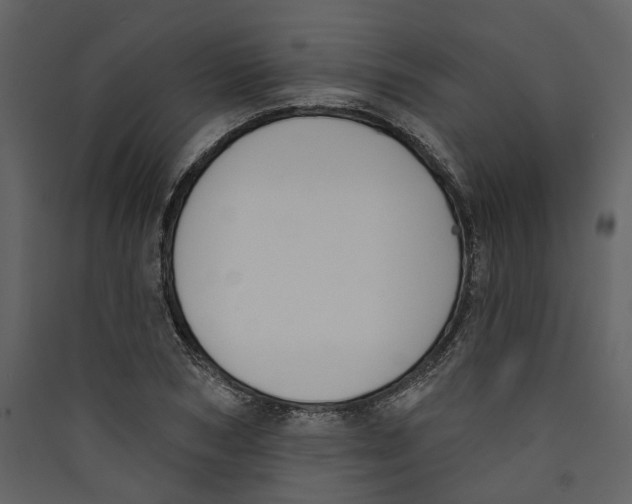 X0000089390978200707131716
