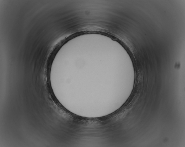 X0000089390979200707131716