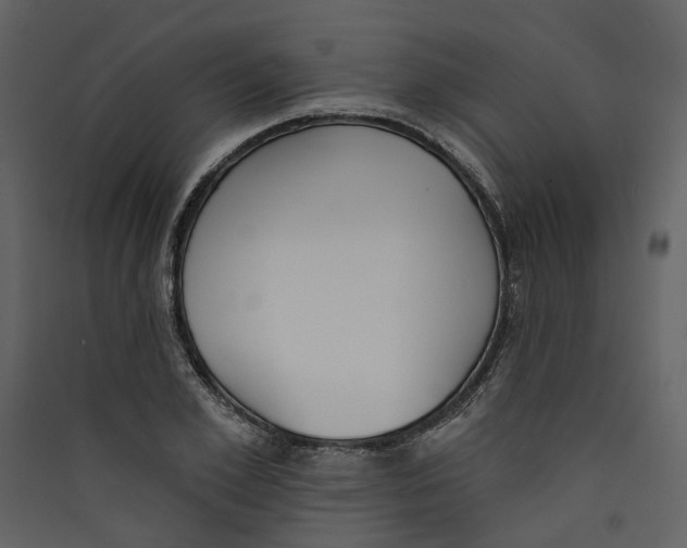 X0000089390981200707131716