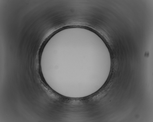 X0000089390982200707131716