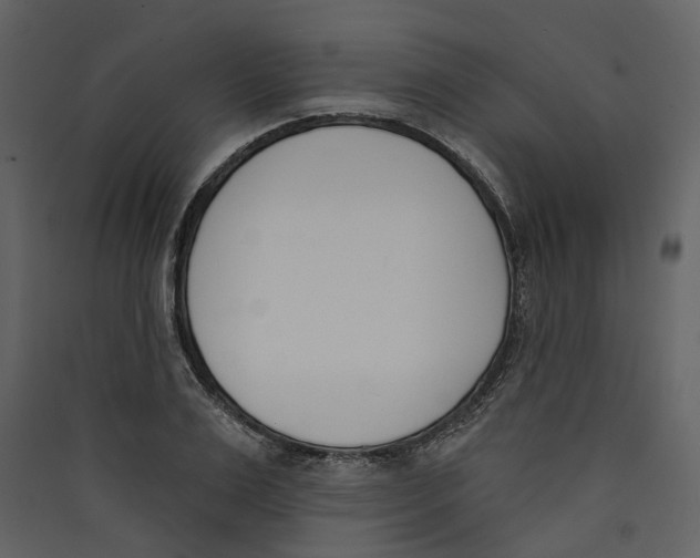 X0000089390983200707131716