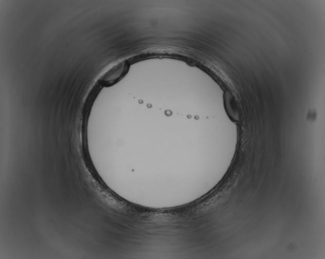 X0000089390984200707131716