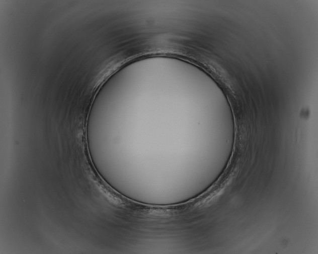 X0000089390985200707131716