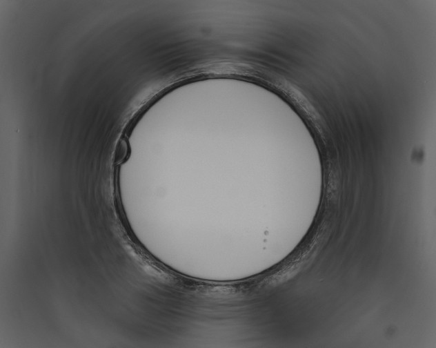 X0000089390986200707131716