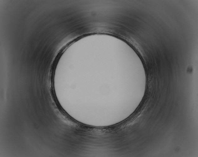 X0000089390987200707131716