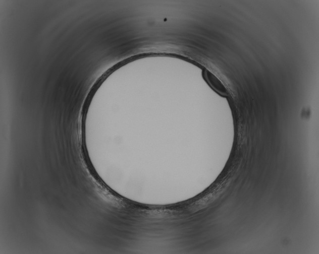 X0000089390988200707131716