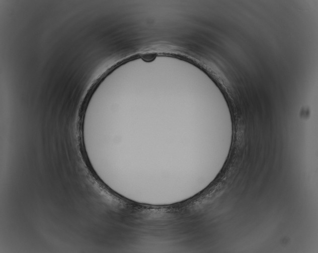 X0000089390990200707131716