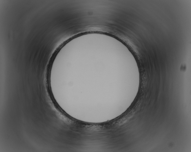 X0000089390991200707131716