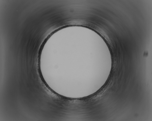 X0000089390992200707131716