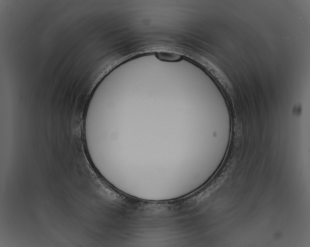 X0000089390993200707131716