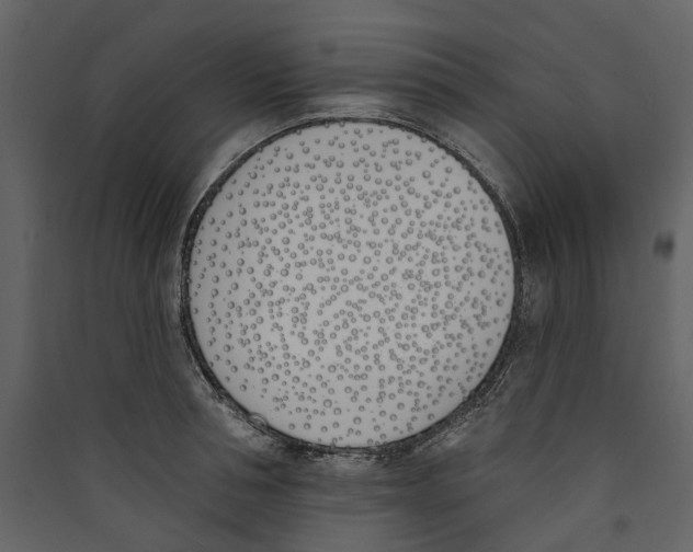 X0000089390994200707131716