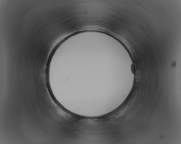 X0000089390995200707131716