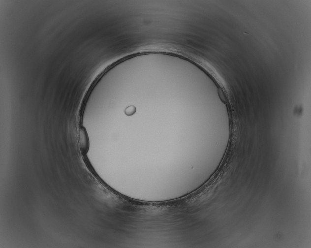 X0000089390996200707131716