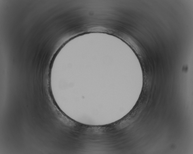 X0000089391000200707131715