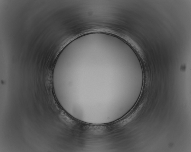 X0000089391001200707131715