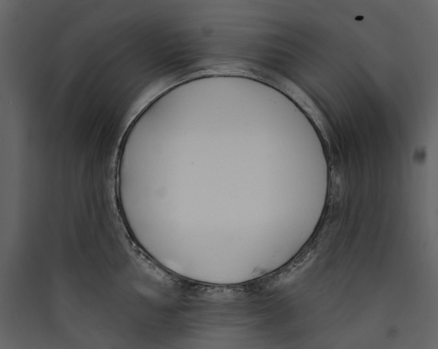 X0000089391002200707131715
