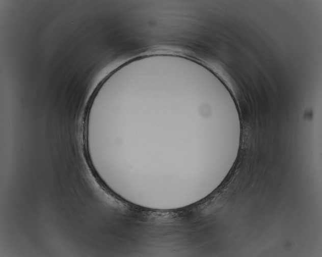 X0000089391003200707131715