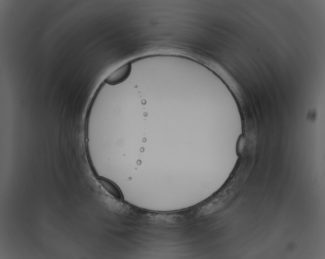 X0000089391004200707131715