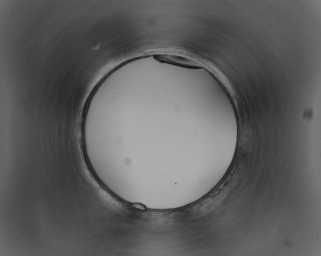X0000089391005200707131715