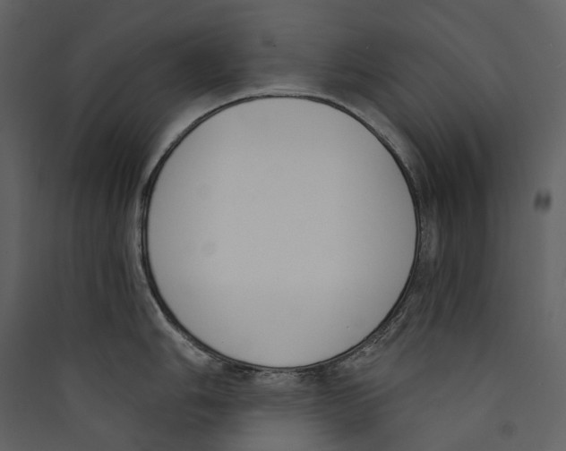 X0000089391006200707131715