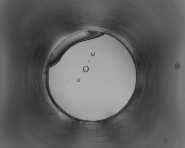 X0000089391007200707131715