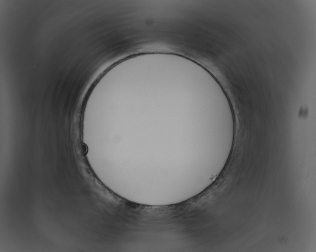 X0000089391008200707131715