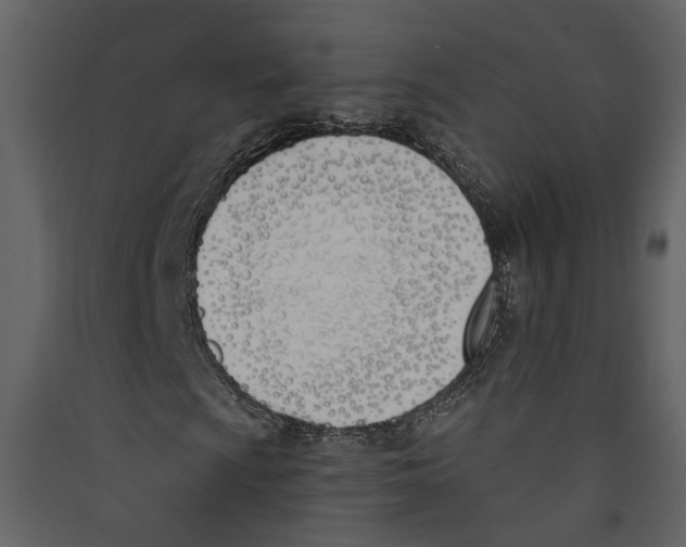 X0000089391009200707131715
