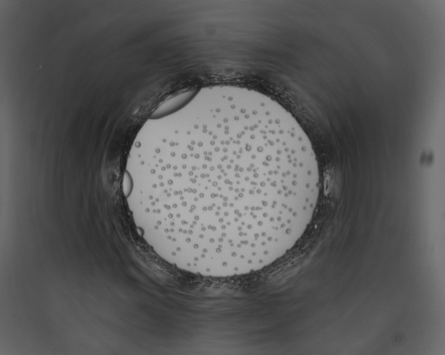 X0000089391011200707131715