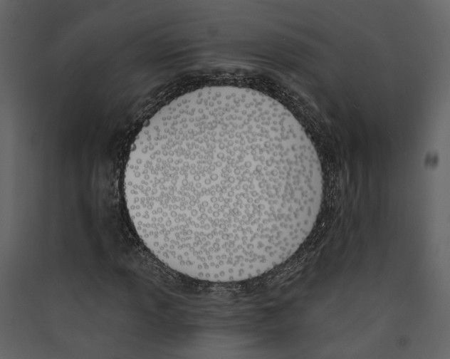 X0000089391013200707131715
