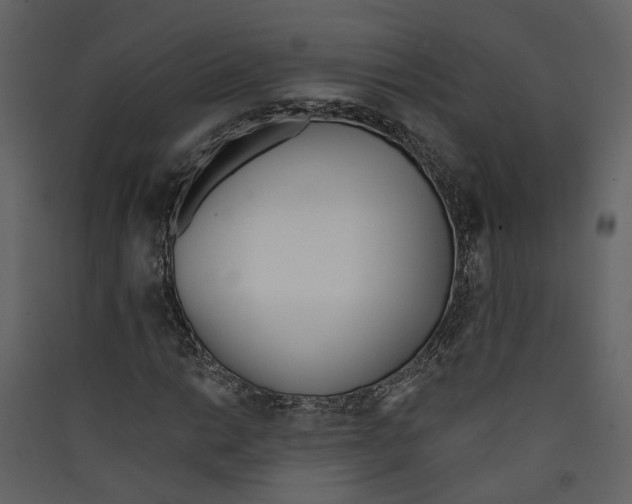 X0000089391014200707131715