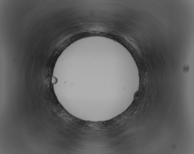 X0000089391015200707131715