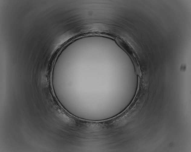 X0000089391018200707131715