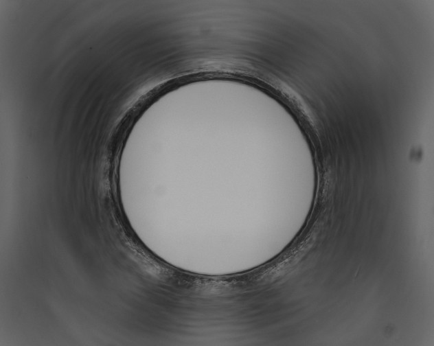 X0000089391019200707131715