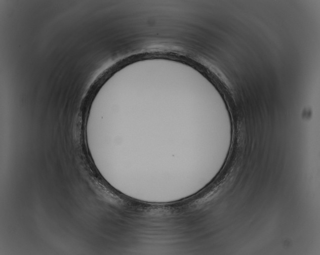 X0000089391021200707131715