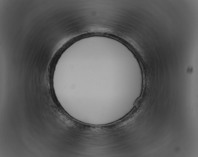 X0000089391022200707131715