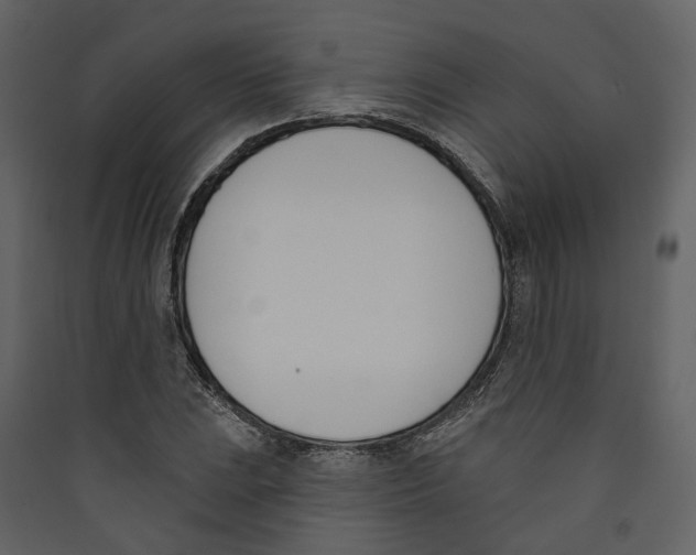 X0000089391023200707131715