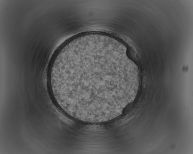 X0000089391024200707131715