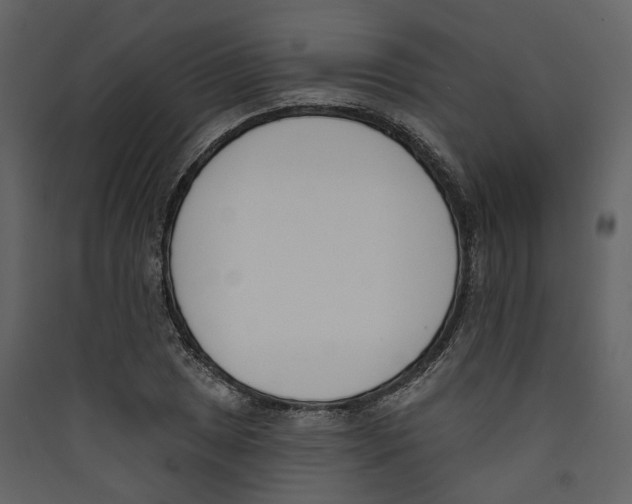 X0000089391025200707131715