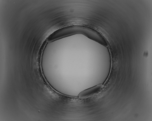 X0000089391026200707131715