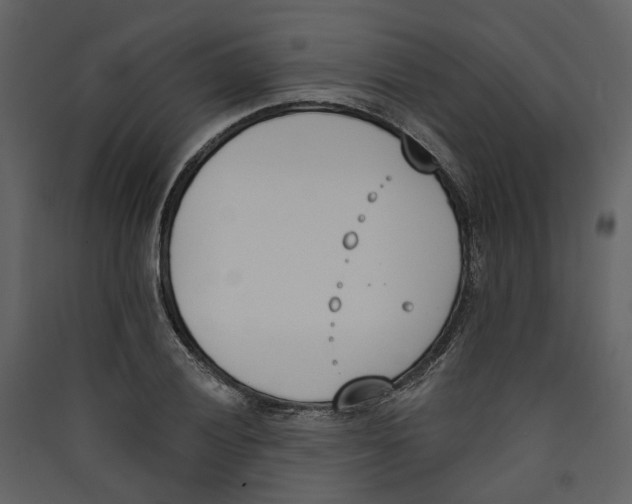 X0000089391028200707131715