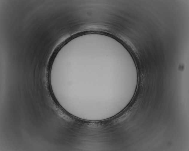X0000089391029200707131715