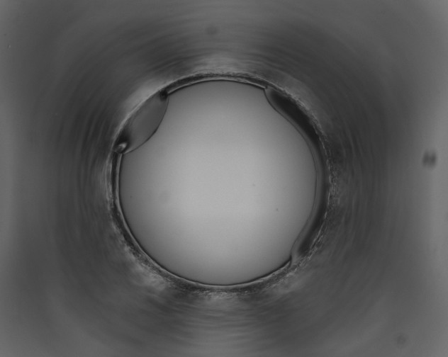 X0000089391030200707131715