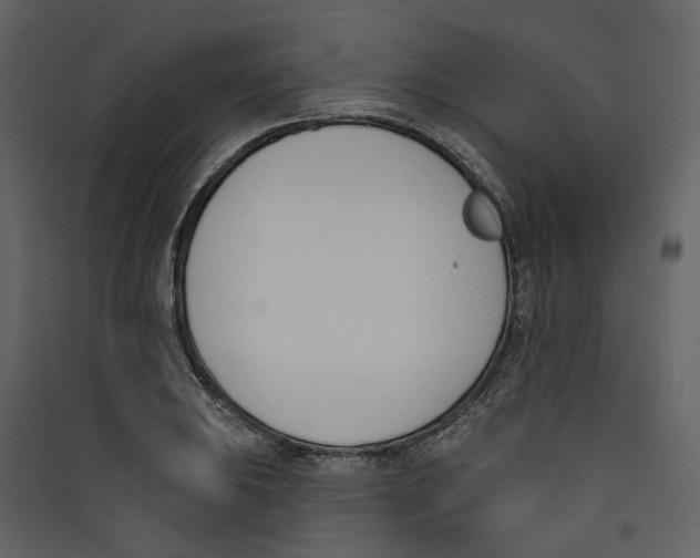 X0000089391031200707131715