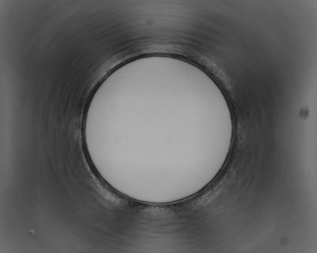 X0000089391033200707131715