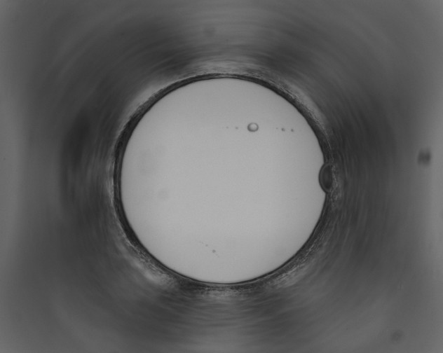 X0000089391035200707131715