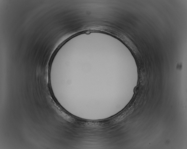 X0000089391036200707131715