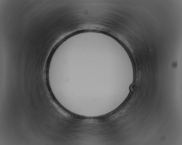 X0000089391037200707131715