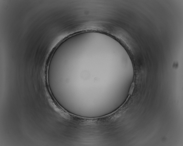 X0000089391038200707131715
