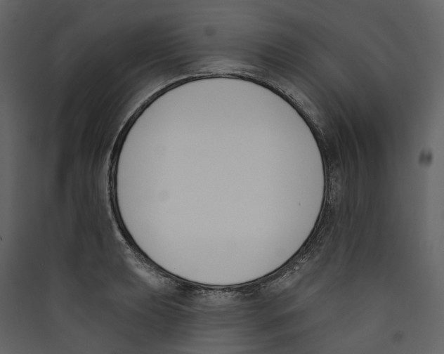 X0000089391039200707131715