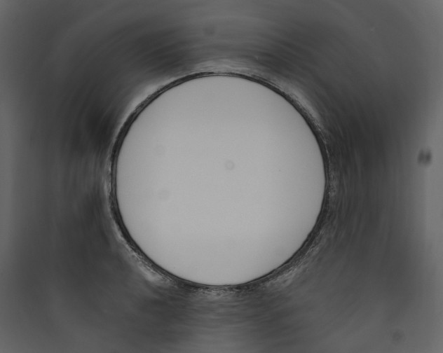 X0000089391040200707131715